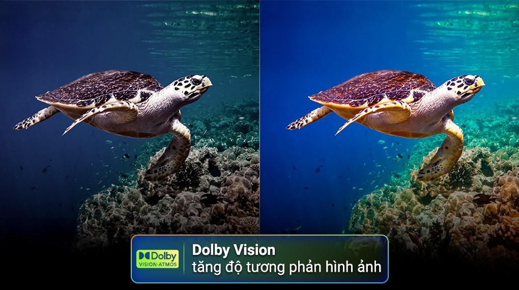 Thiết kế mỏng và cổng kết nối HDMI eARC của tivi Toshiba 65C350RP